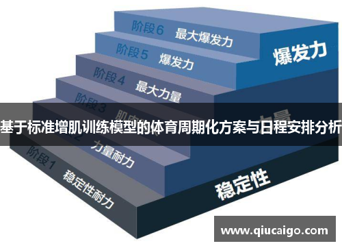 基于标准增肌训练模型的体育周期化方案与日程安排分析